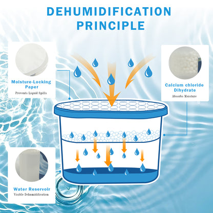 Moisture Absorber 3-Pack | Calcium Chloride, Leak-Proof, Fragrance-Free Dehumidifier